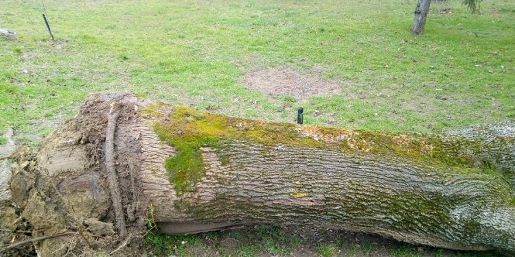 FELHÍVÁS a KÖRÜLTEKINTŐ PARKOLÁSRA, a kórház területén!