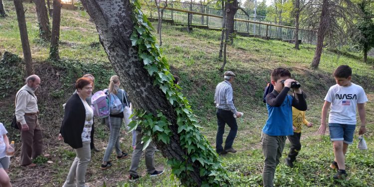 Fülemülék helyett rigók és pintyek énekeltek a kórházparkban, a Fülemülék éjszakája szekszárdi programján