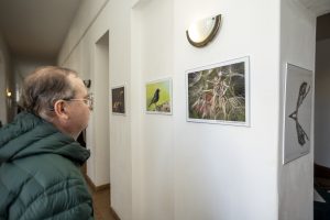 Egy látogató a kiállítás képeit nézi