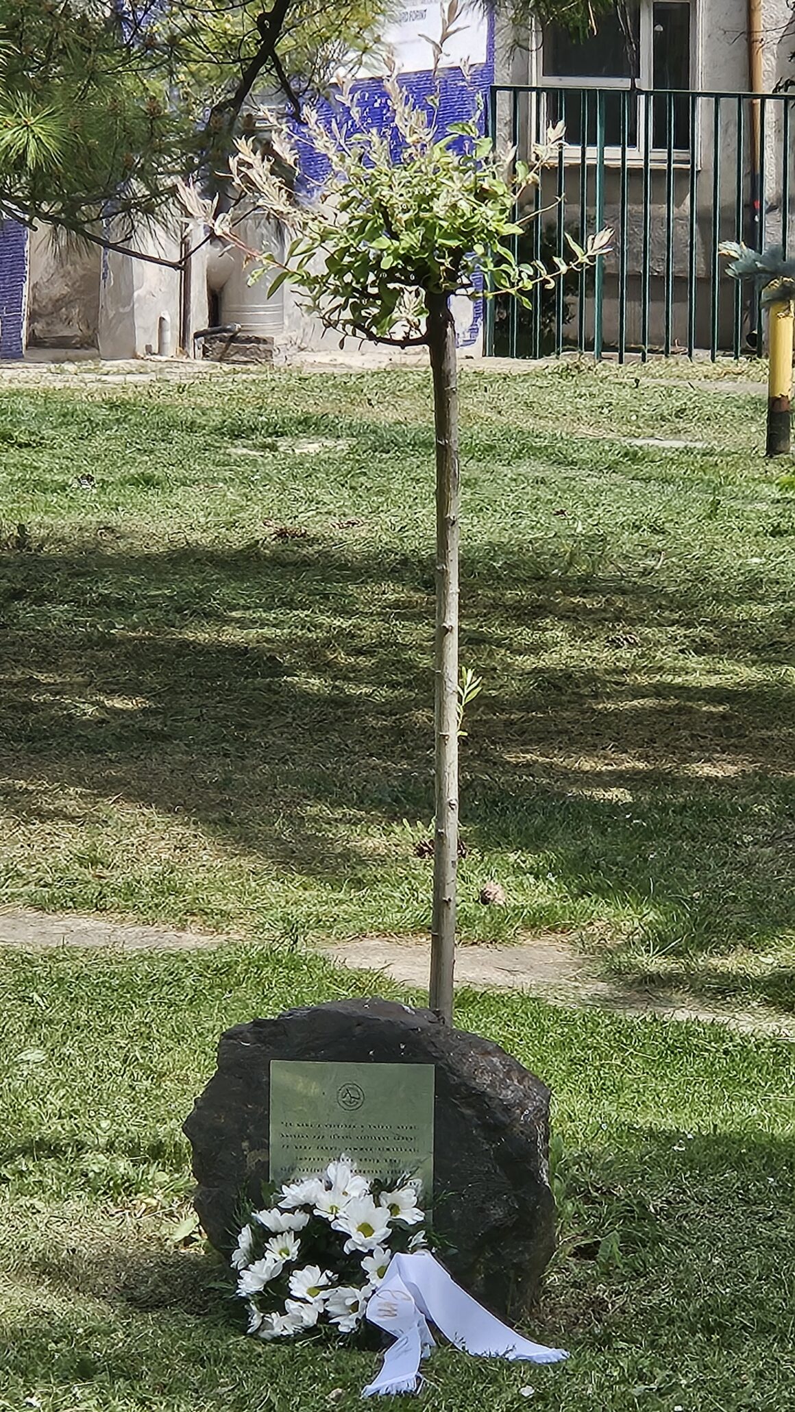 20260513 130613